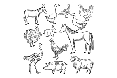 Farm animals set in hand drawn style