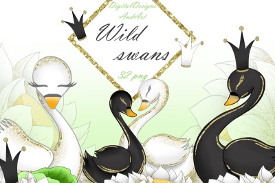 Wild swans clipart