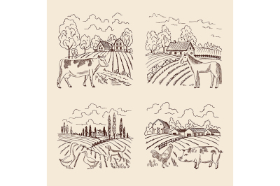 Vector village and big field. Landscape with farming and animals