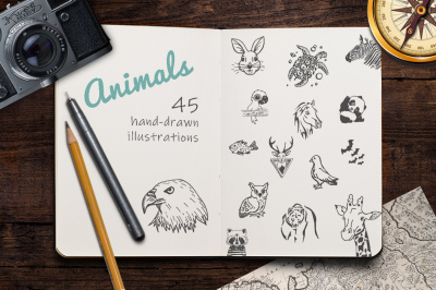 Hand Drawn Illustrations -Animals-