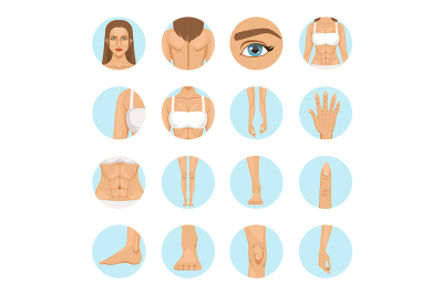 Vector human. Different parts of man body