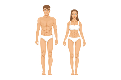 Woman body parts. Human anatomy vector illustrations isolate on white