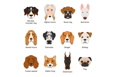 Funny cartoon faces of different dogs