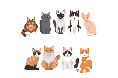  Domestic cats in cartoon style