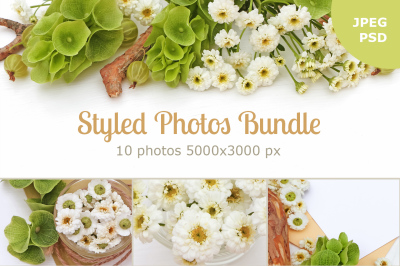 Styled Photos Bundle with Molucella