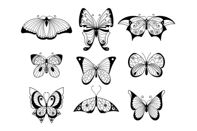 Set of different butterflies and bugs with beautiful patterns on wings