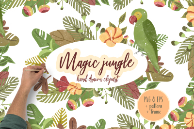 Magic Jungle Clipart Illustration Hand drawn Tropical