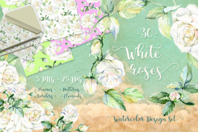 Delicate white roses PNG watercolor set