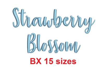 Strawberry Blossom BX embroidery font