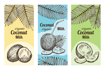 Labels for package design with hand drawn illustrations of coconut