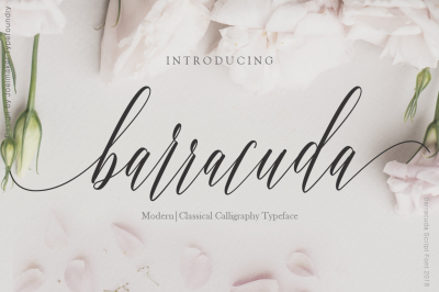 Barracuda Script