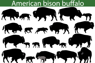 American bison buffalo silhouettes