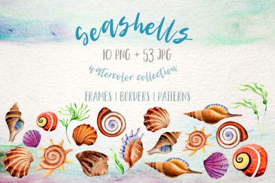 Watercolor summer beach seashell PNG set