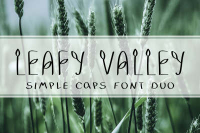 LEAFY VALLEY - Hand Drawn Font DUO