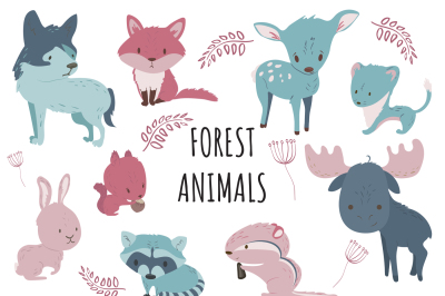 Cute Forest Animals