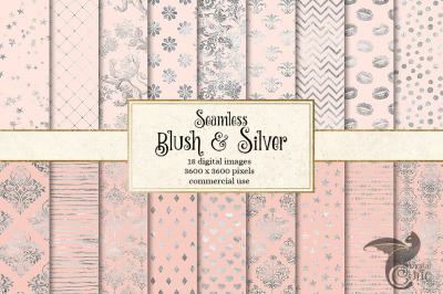 Blush and Silver Digital Paper