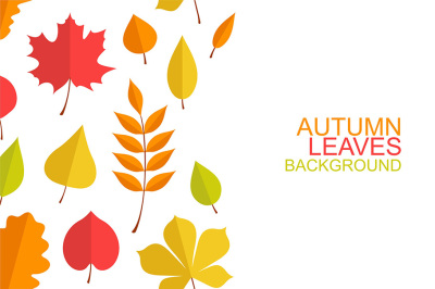 Autumn leaves background