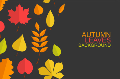 Autumn leaves background