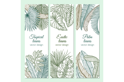 Tropical plants with different leaves and branches