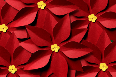 Christmas Poinsettia | SVG | PNG | DXF
