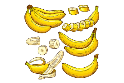 Vector set of colored bananas