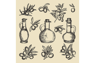 Olive branch, tree and oil and bottle