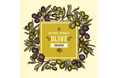  Floral background with olive branches and other health foods