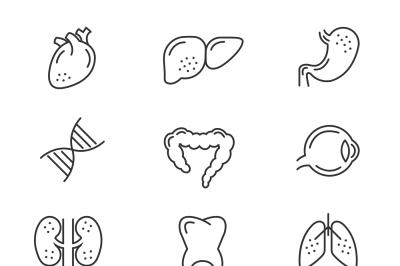 Human organs line icons