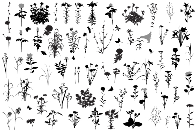 66 silhouettes of flowers and plants