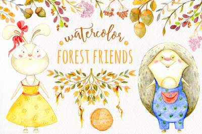 Watercolor forest friends collection