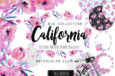 "California" Watercolor Pink Poppies clip art