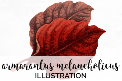 Leaves Clipart Vintage