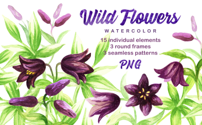 Wild flowers. Watercolor set.