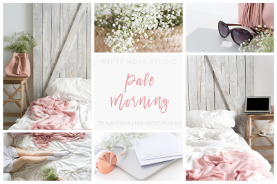 Pale Morning Bundle