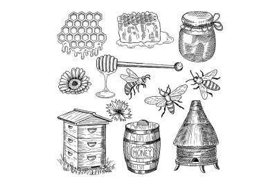 Honey, bee, honeycomb and other thematically hand drawn pictures