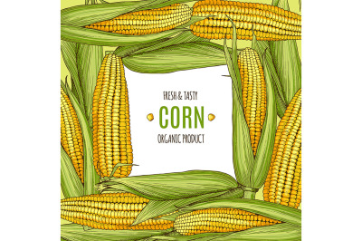Colored background illustration with corn
