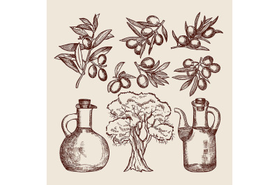 Olive oil in bottling. Olive tree and other hand drawn foods