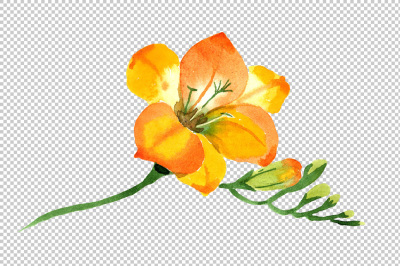 Wildflower yellow freesia PNG watercolor set