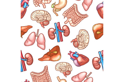 Seamless pattern with different human organs