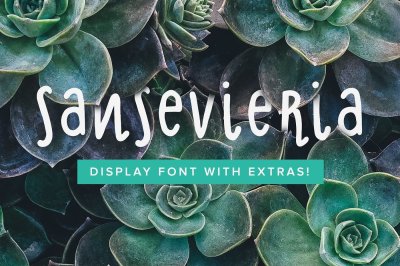 Sansevieria Display Font + Extras