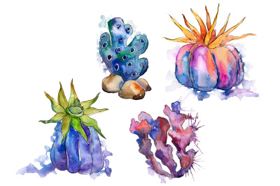 Purple coral PNG watercolor set