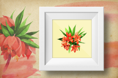 Fritillaria imperialis PNG watercolor flower set