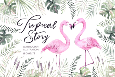 Tropical story. Watercolor set