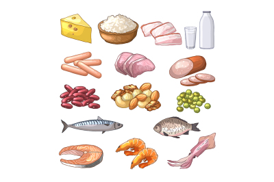 Illustrations of different products which contains protein