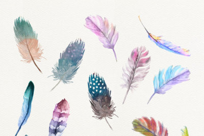 Watercolor Feathers 