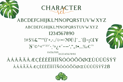 Giveny - Classy Serif Font