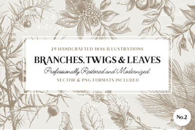 29 Branches, Twigs, & Leaves No.2