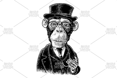 Monkey gentleman dressed in a hat, suit, waistcoat. engraving 