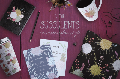 Vector watercolor succulents set