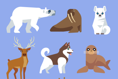 North Arctic or Antarctic animals and birds. Vector flat collection